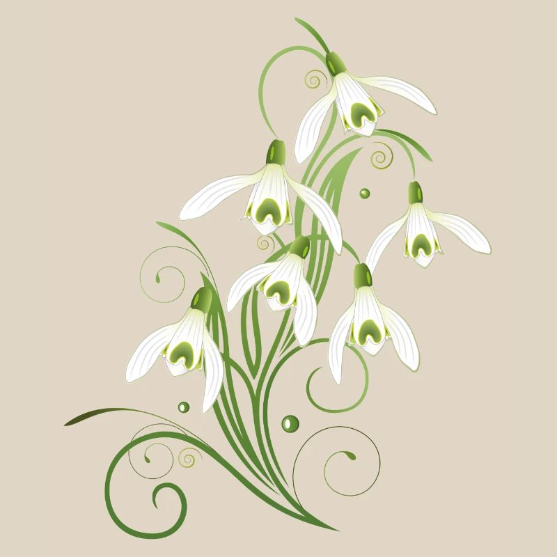 Fleurs de perce-neige. Le printemps arrive.