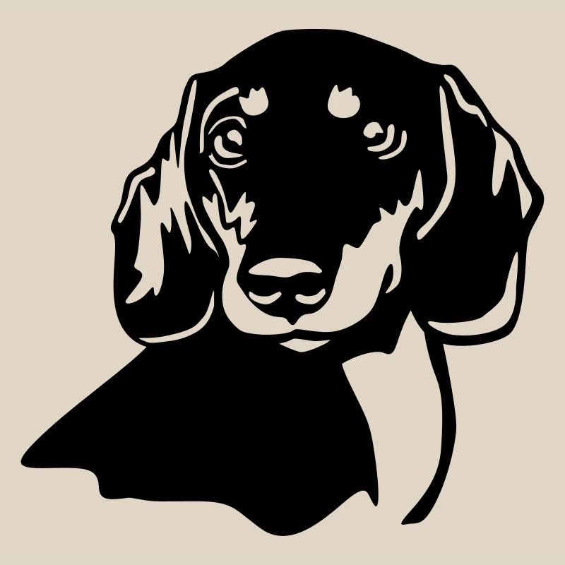 Dachshund head
