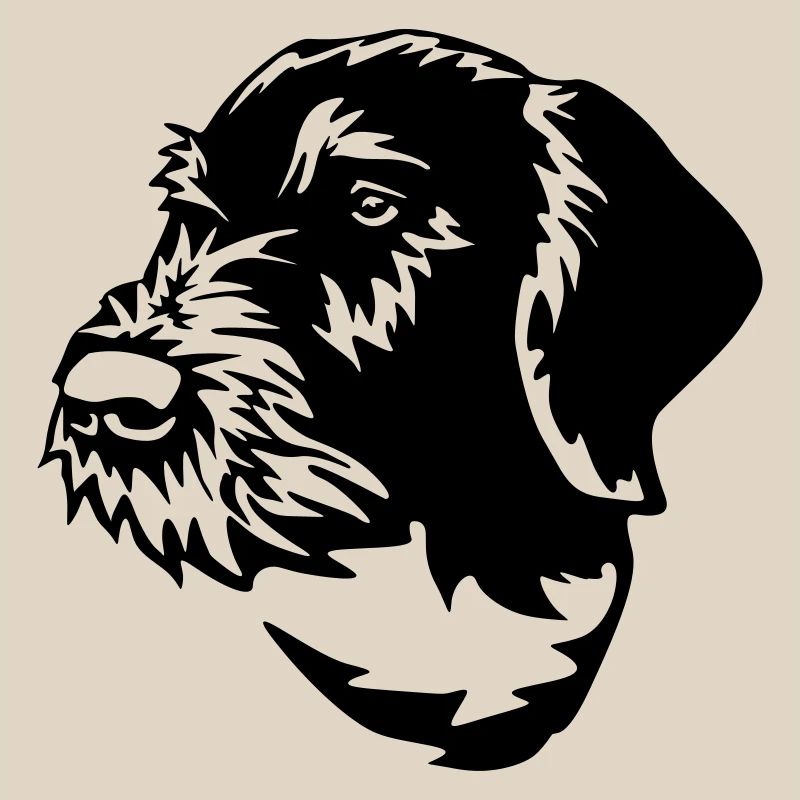 German Wirehaired Pointer