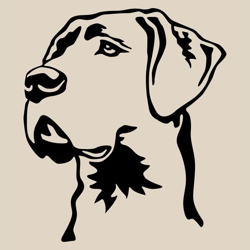 Great Dane head
