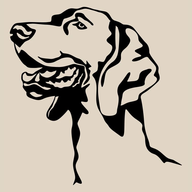 Tête de braque de Weimar