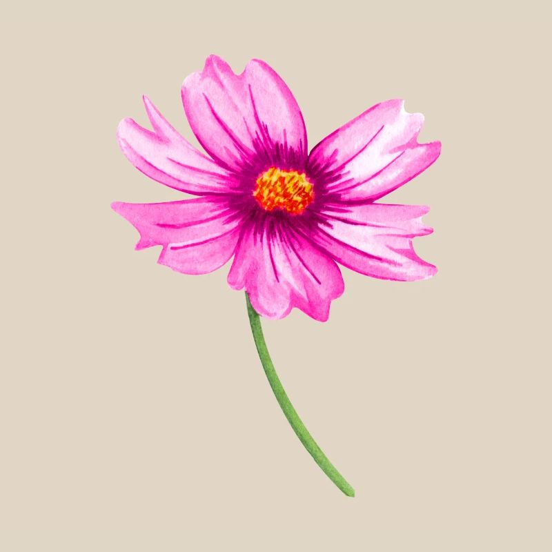 Blume