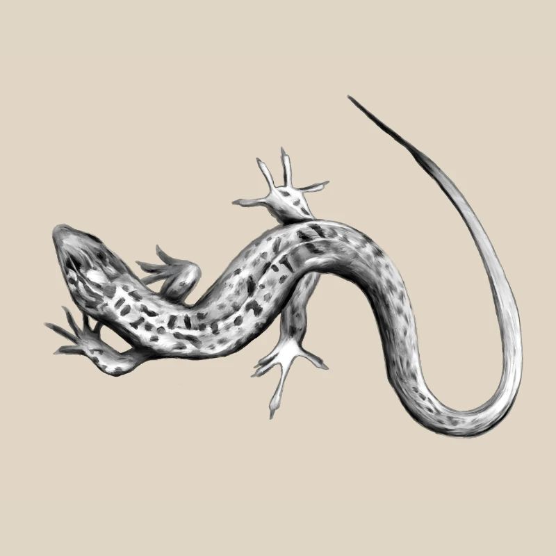 Gray Lizard Black and White Pattern