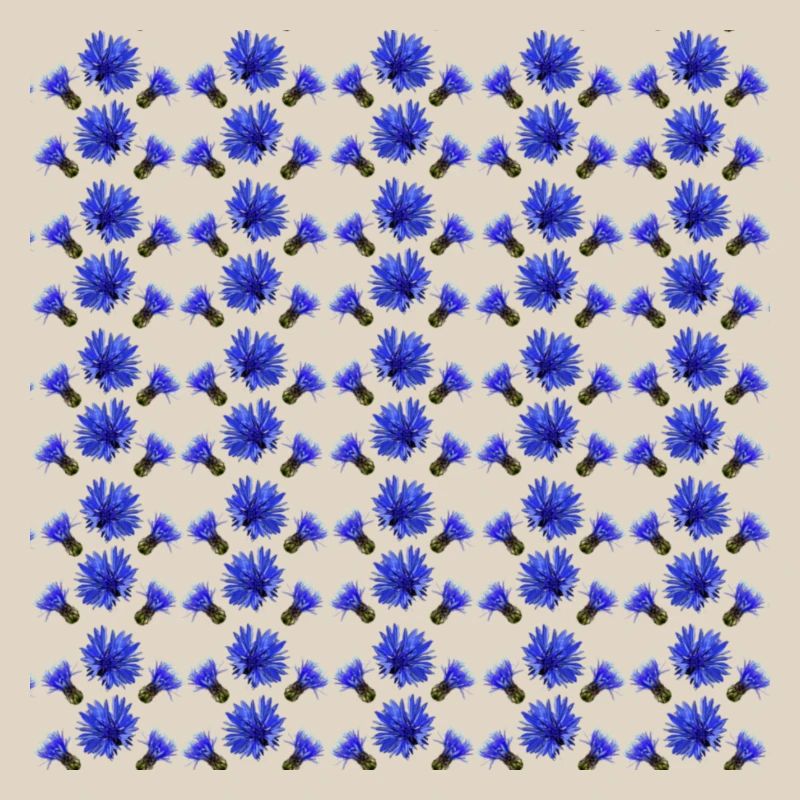 Cornflower Pattern, Gift Woman