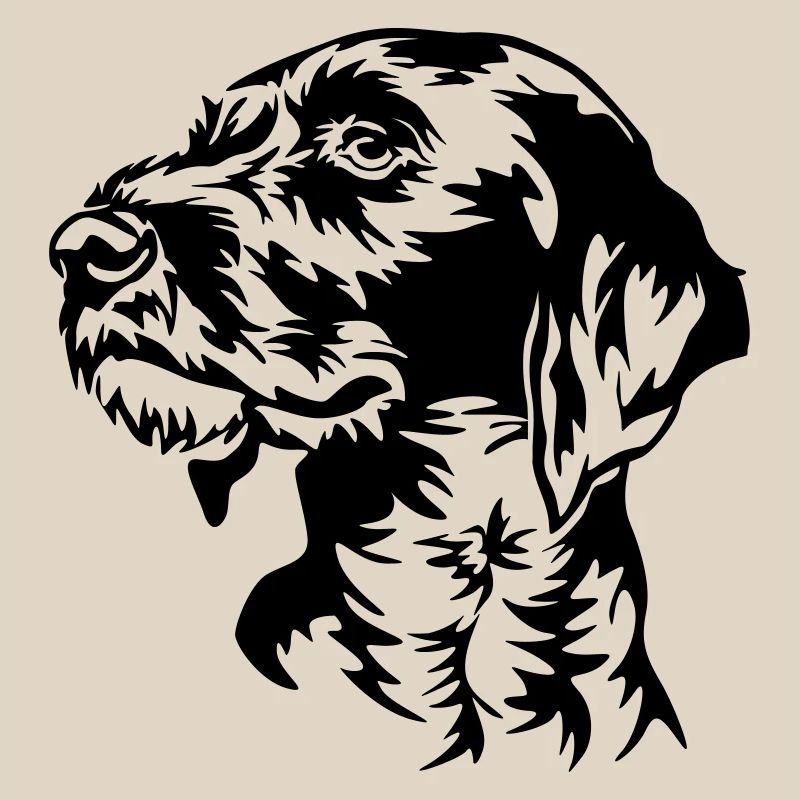 German Wirehaired Pointer head
