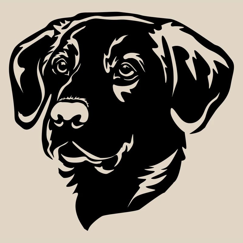 Labrador Head