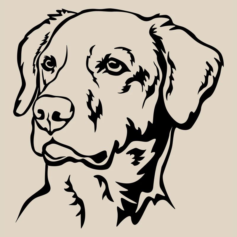 Labrador Kopf
