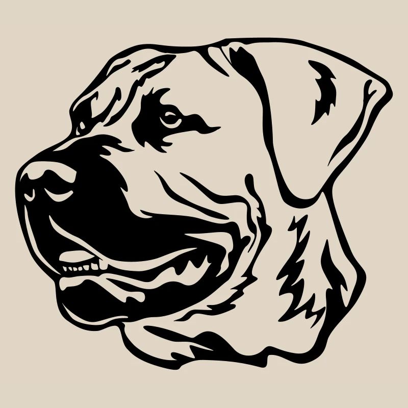 Boerboel Head