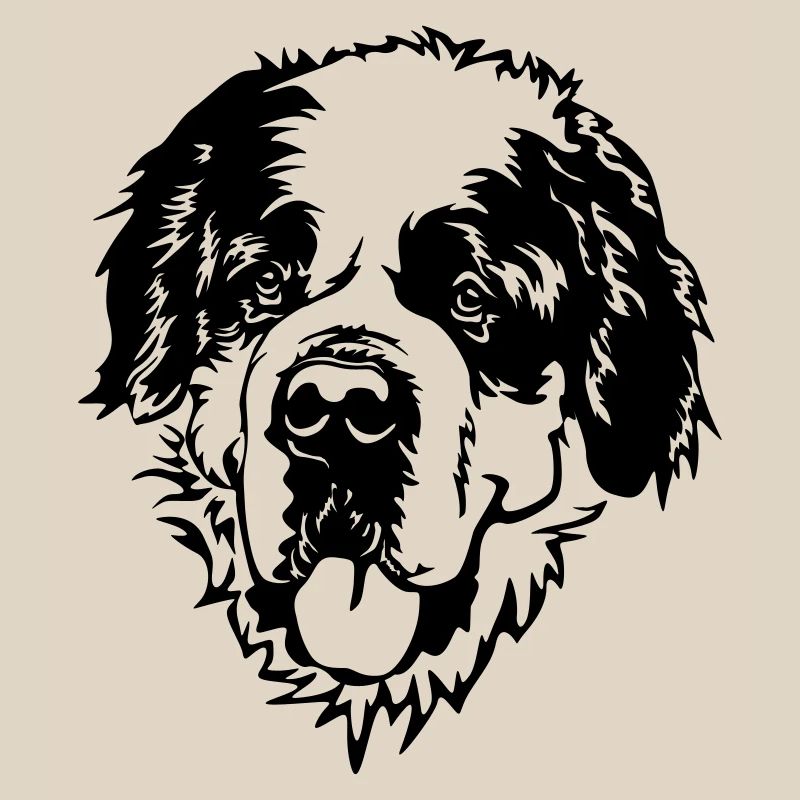 St. Bernard's Head