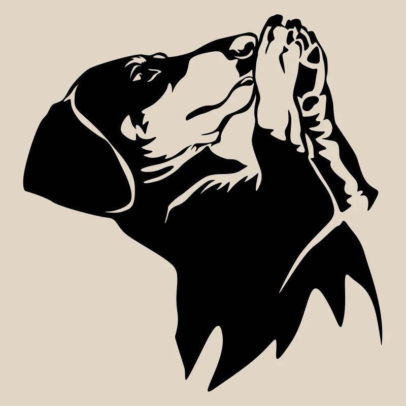 Dachshund
