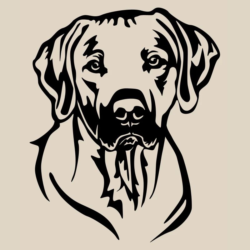 Rhodesian Ridgeback Head