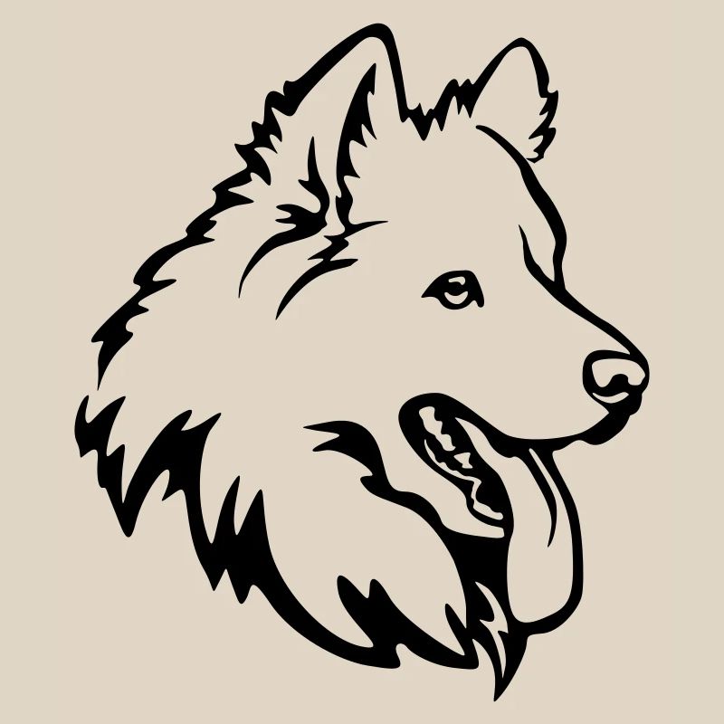 Samoyed head