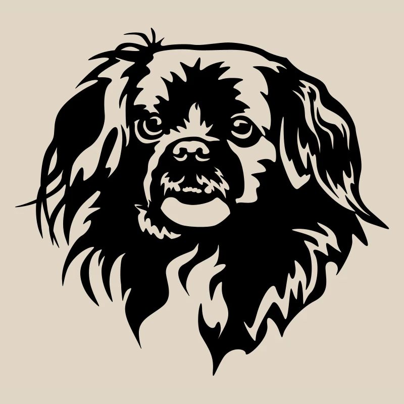 Tibetan Spaniel Head