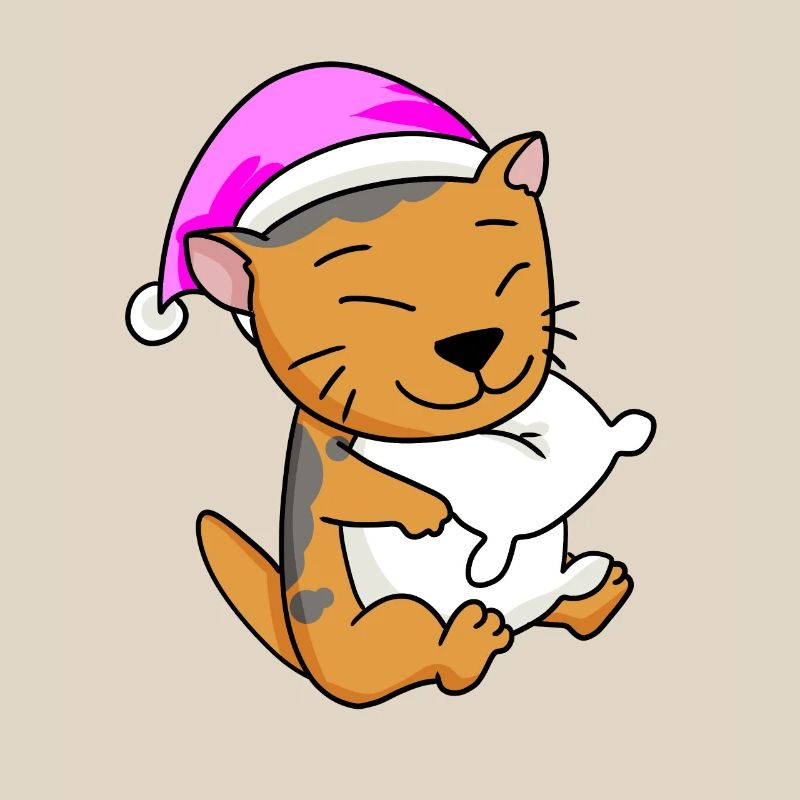 Cat Cat Breed Scottish Folding Ear Cat
