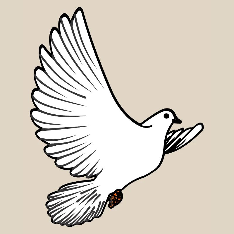 Weiße Taubenbrieftaube Ziertaube oder Friedenstaube