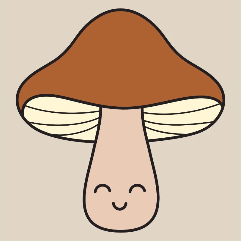 Pilz Pilze