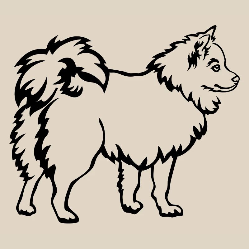 Spitz