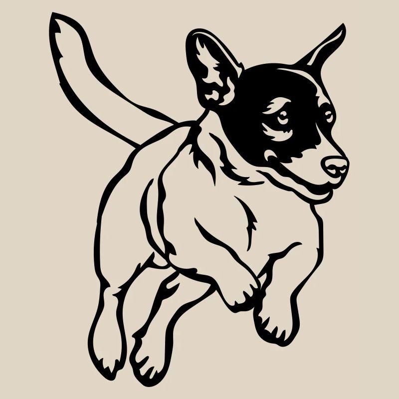 Jack Russell Terrier