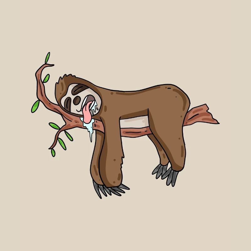 Sleeping sloth