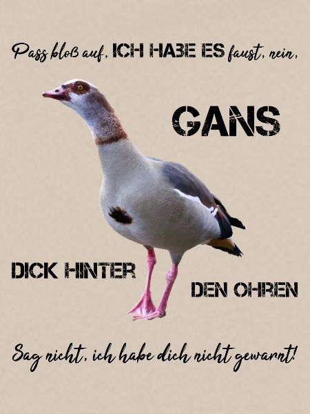 frech böse