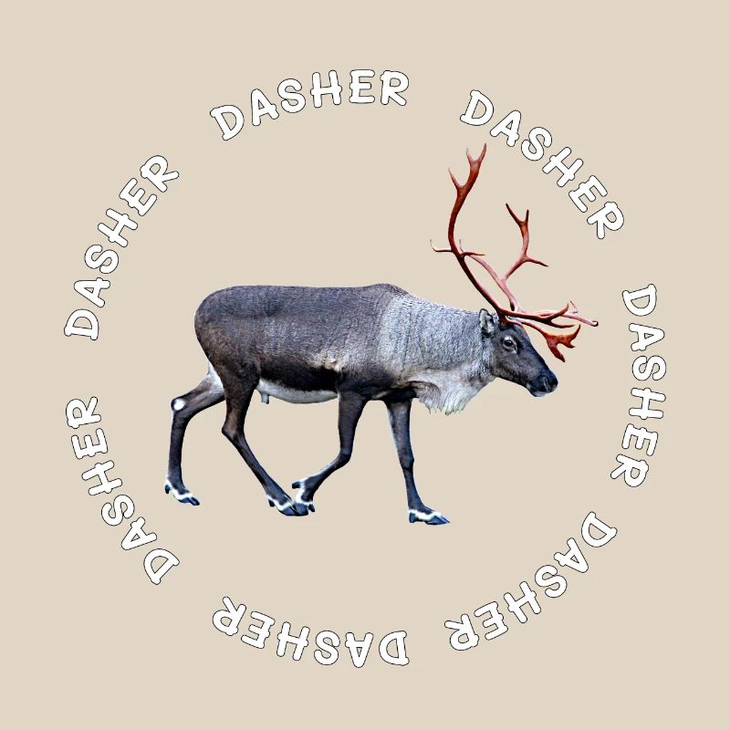 DASHER