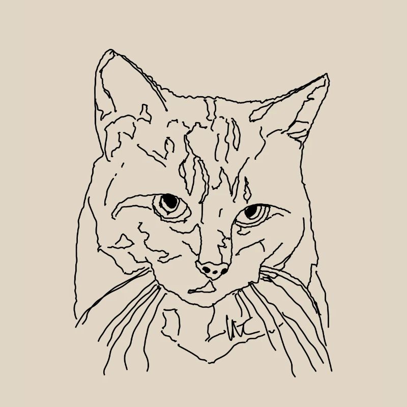 Chat