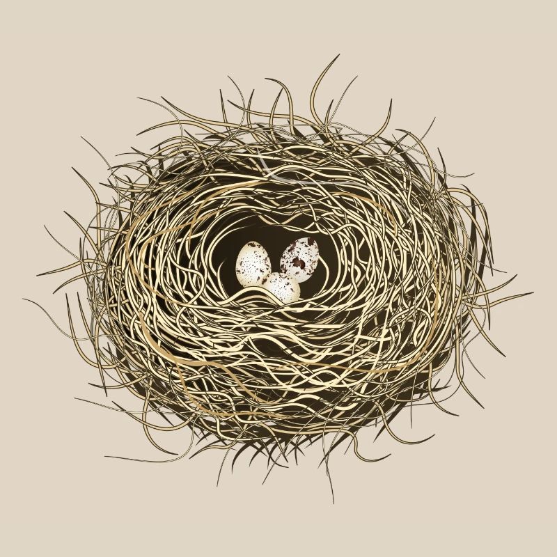 Vogelnest oder Osternest mit drei Vogel Eier