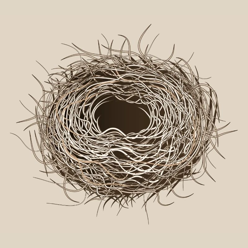 empty bird's nest or easter basket for spring