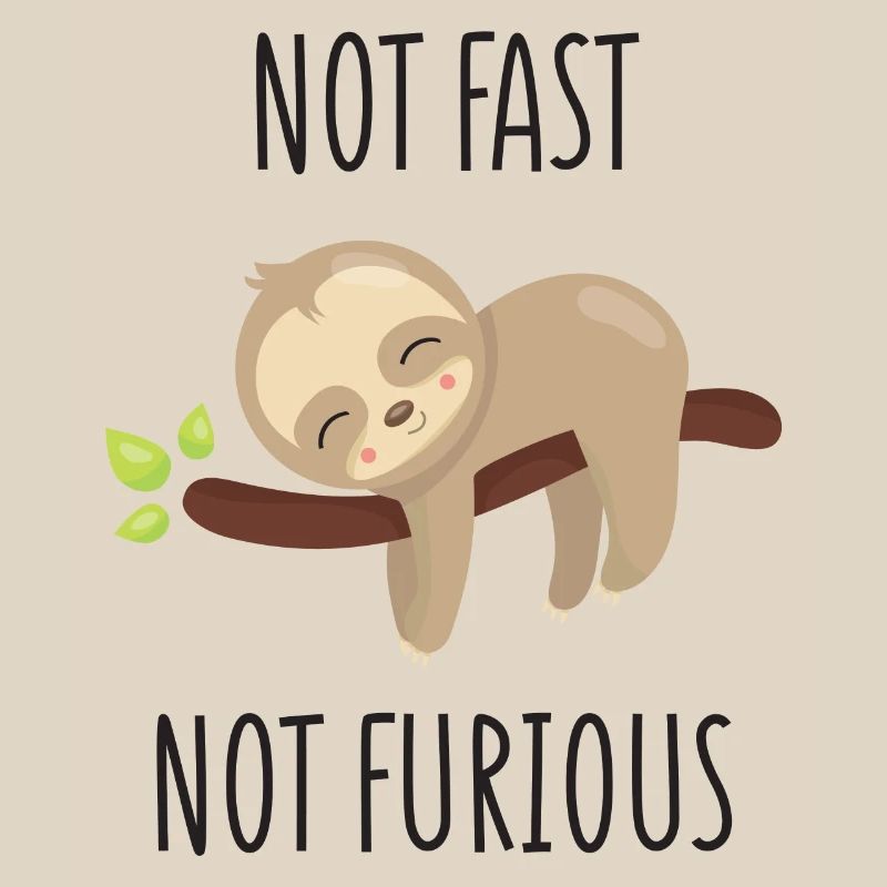 Not Fast, Not Furious