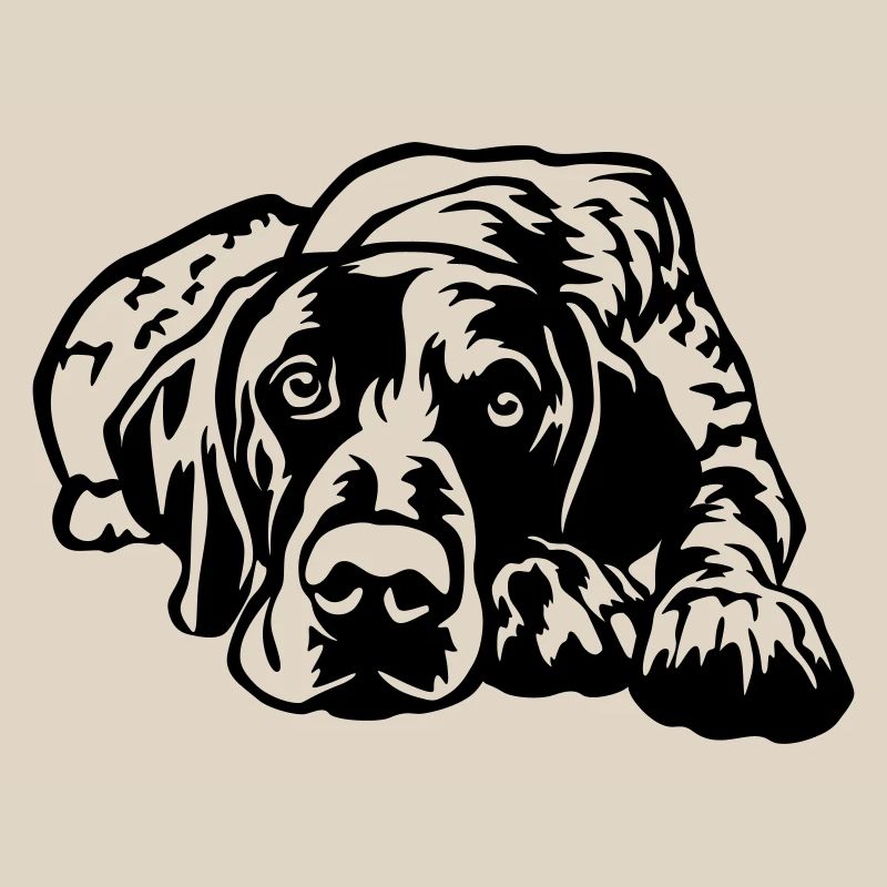 German Shorthaired Pointer