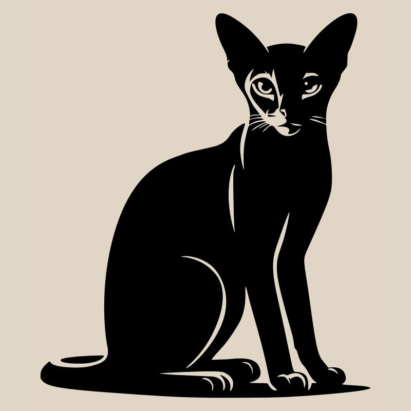 Abessiner Katze
