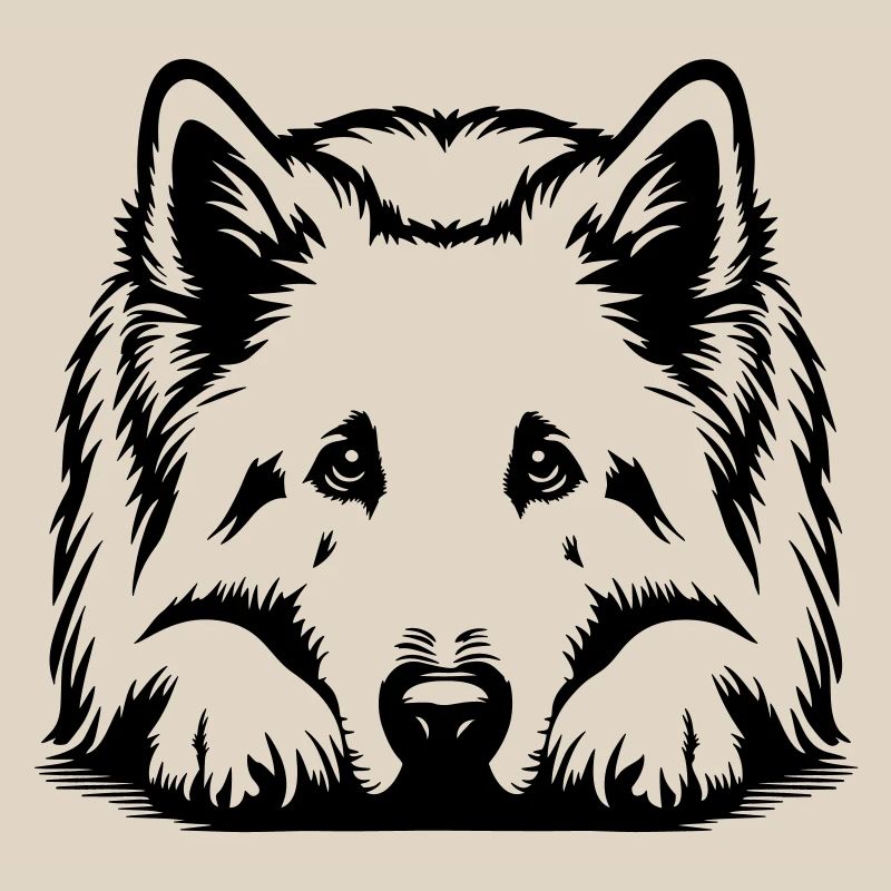 Schweizer Schäferhund