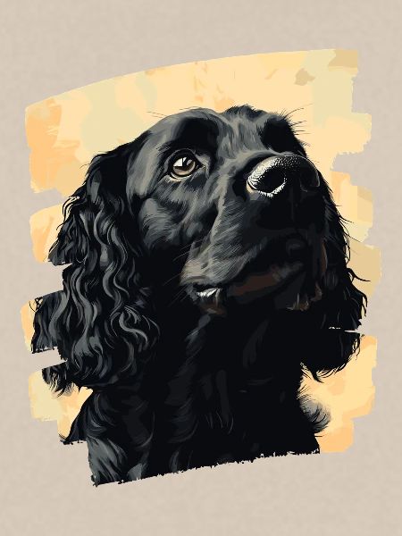 Cocker Spaniel