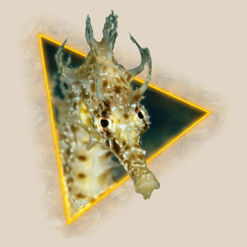 Hippocampe dans un triangle