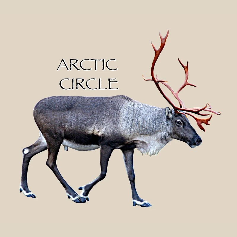 Arctic Circle