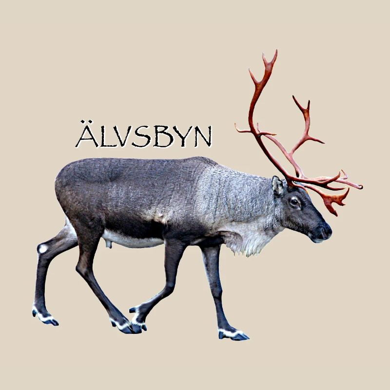 ALVSBYN