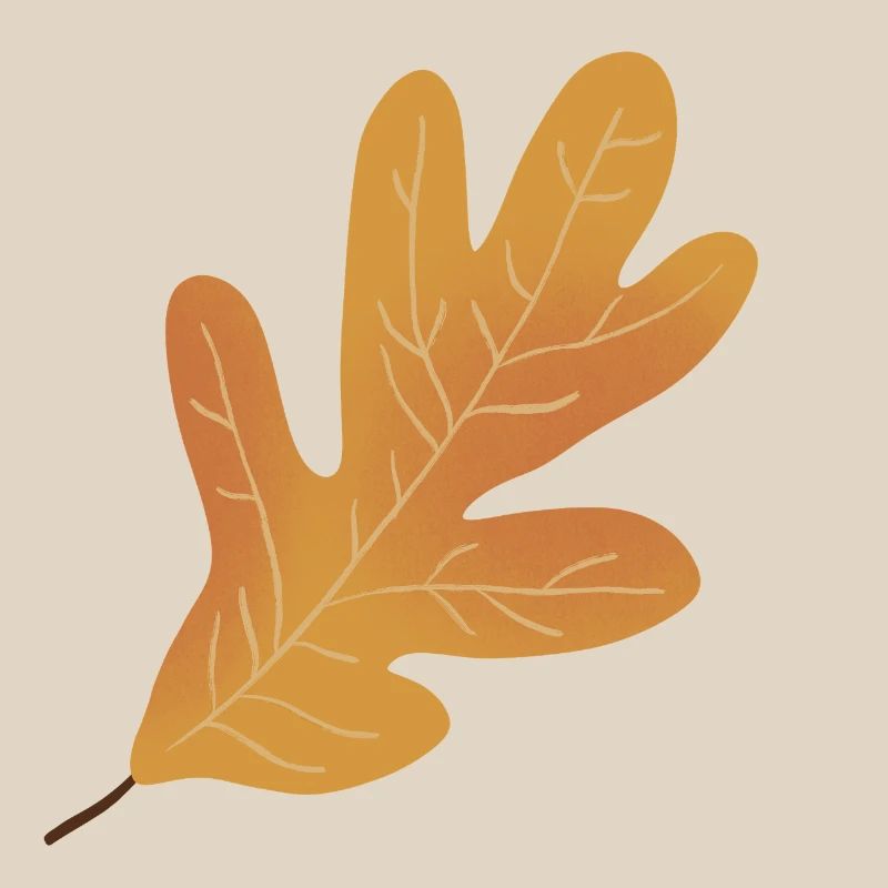 Herbst Eichenblatt Illustration