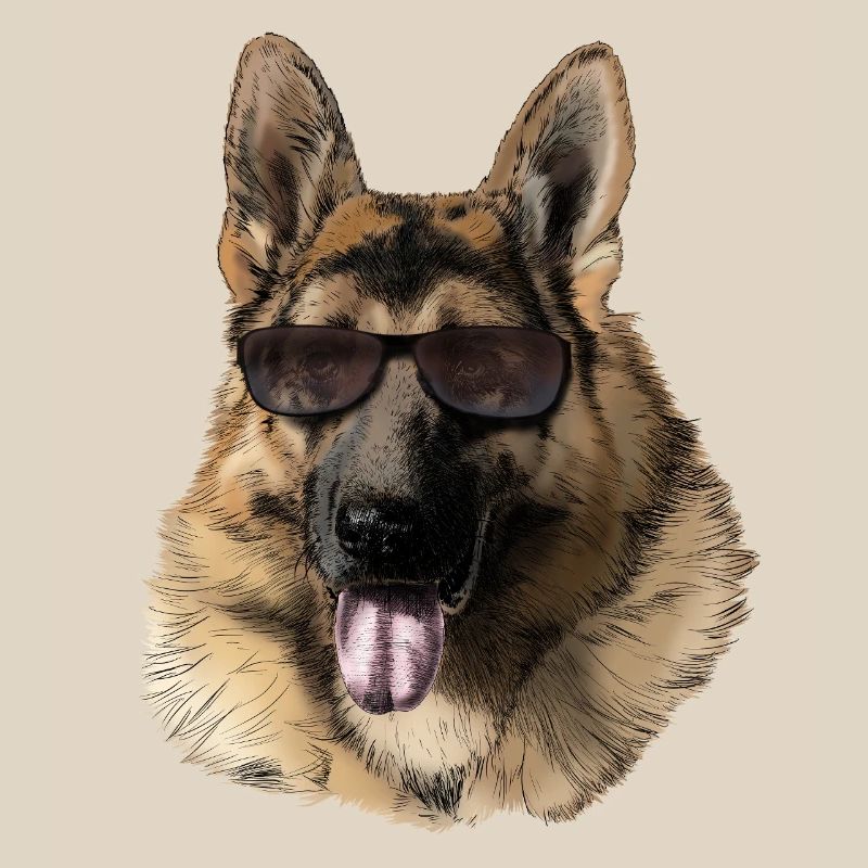 Cool German Shepherd with Sunglasses