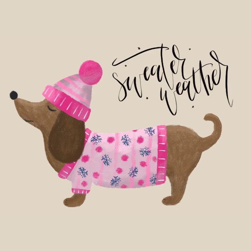 Teckel avec pull et chapeau Pull Météo rose