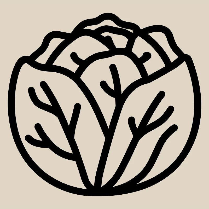 cabbage