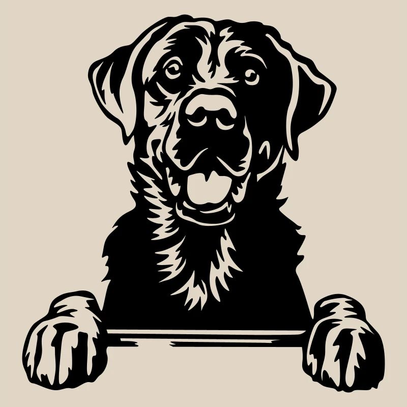 Labrador Head