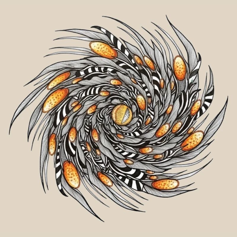 Spiral Spring Pattern