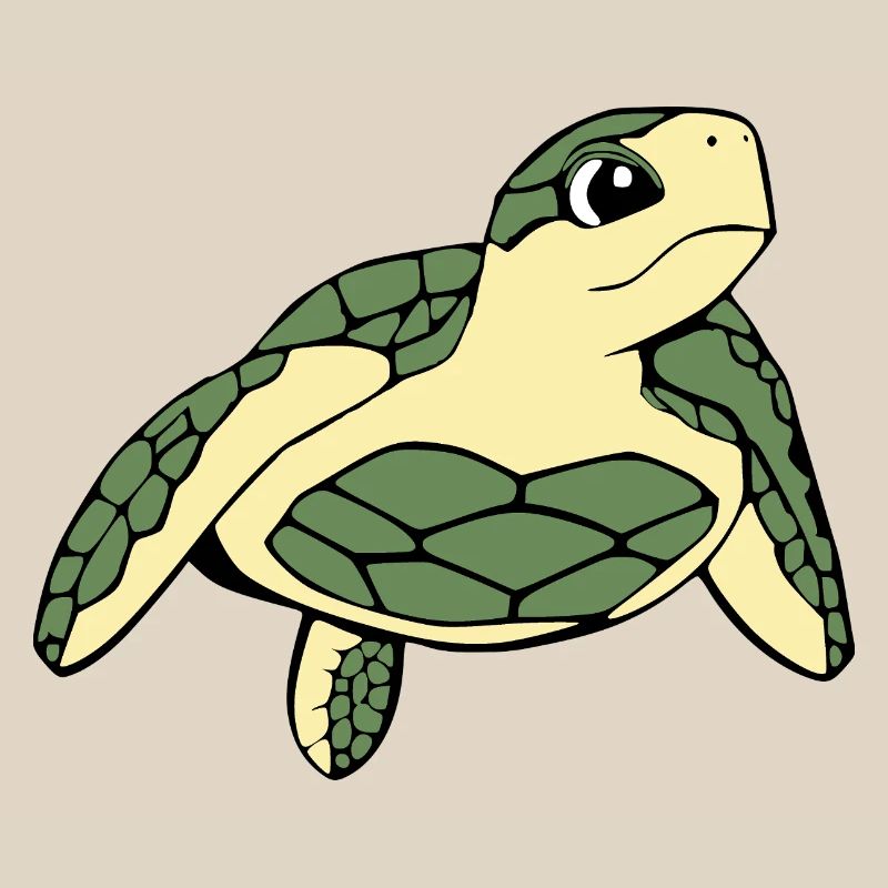 Turtle Turtles