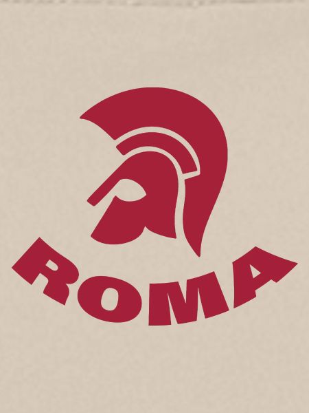 ROM