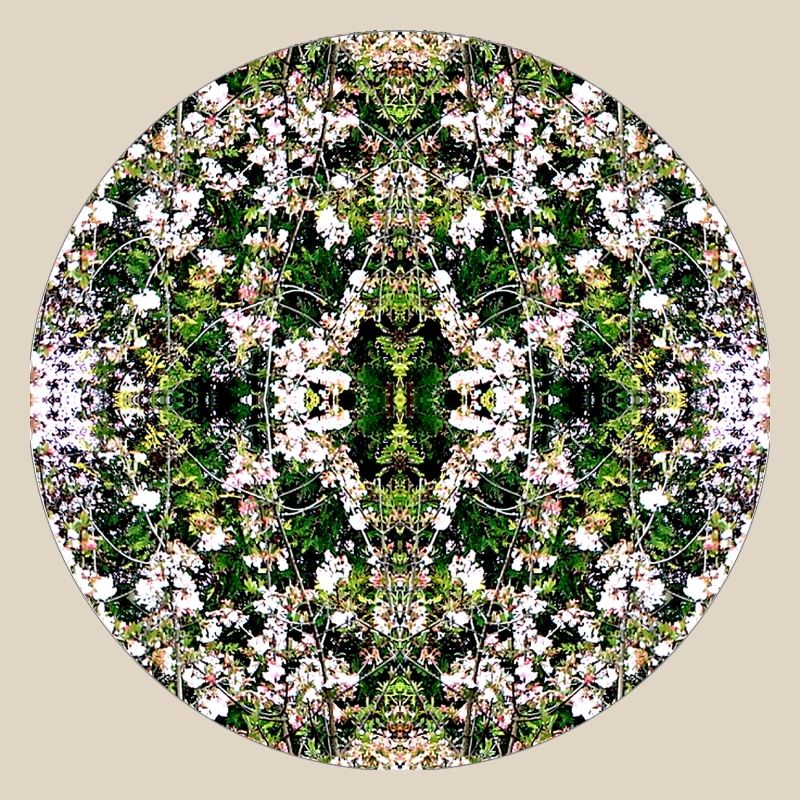 Source du Mandala de la Nature à Nuremberg