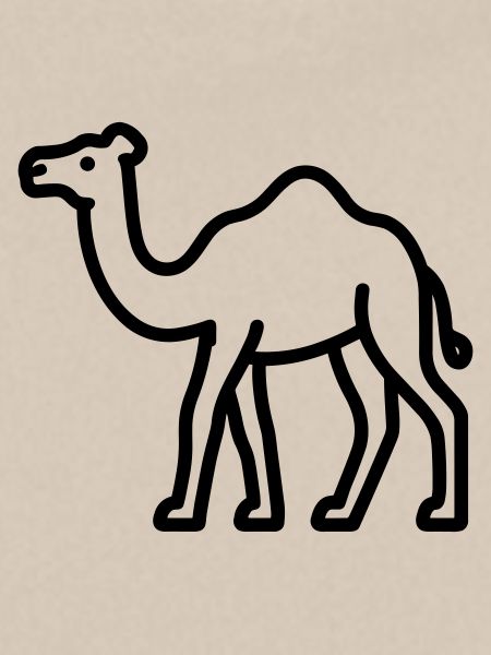 Kamel