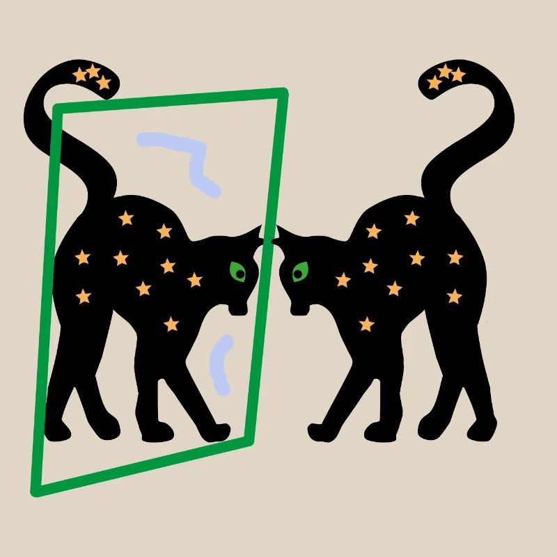 Mirror the Kitten, Abstraction