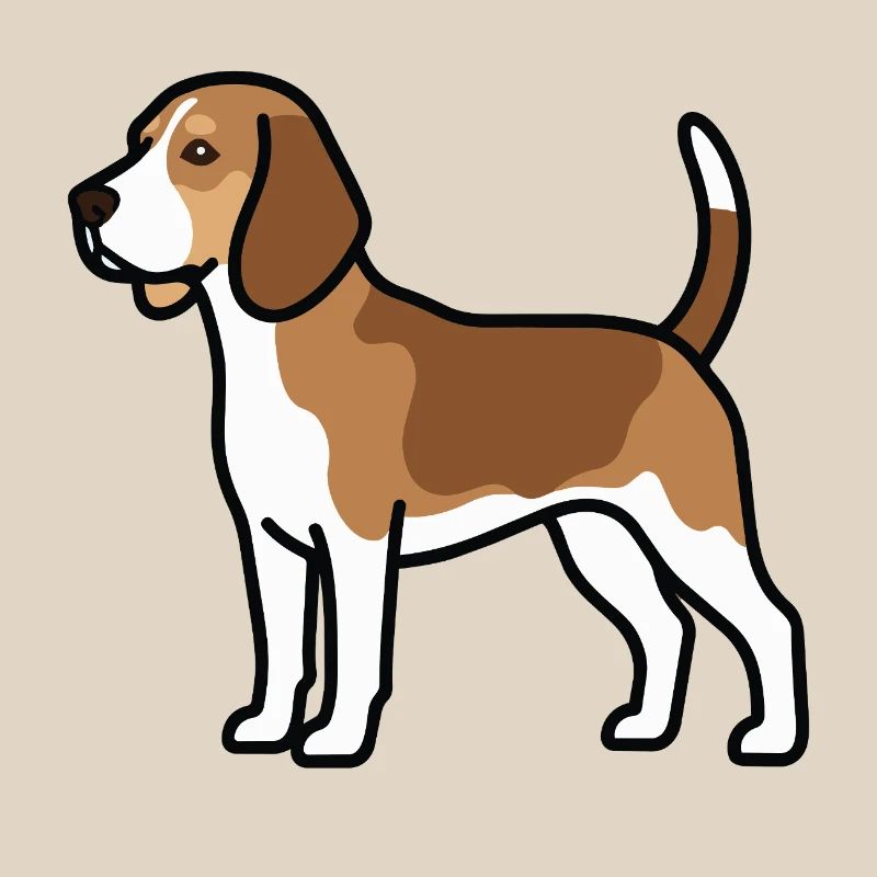 Beagle Dog