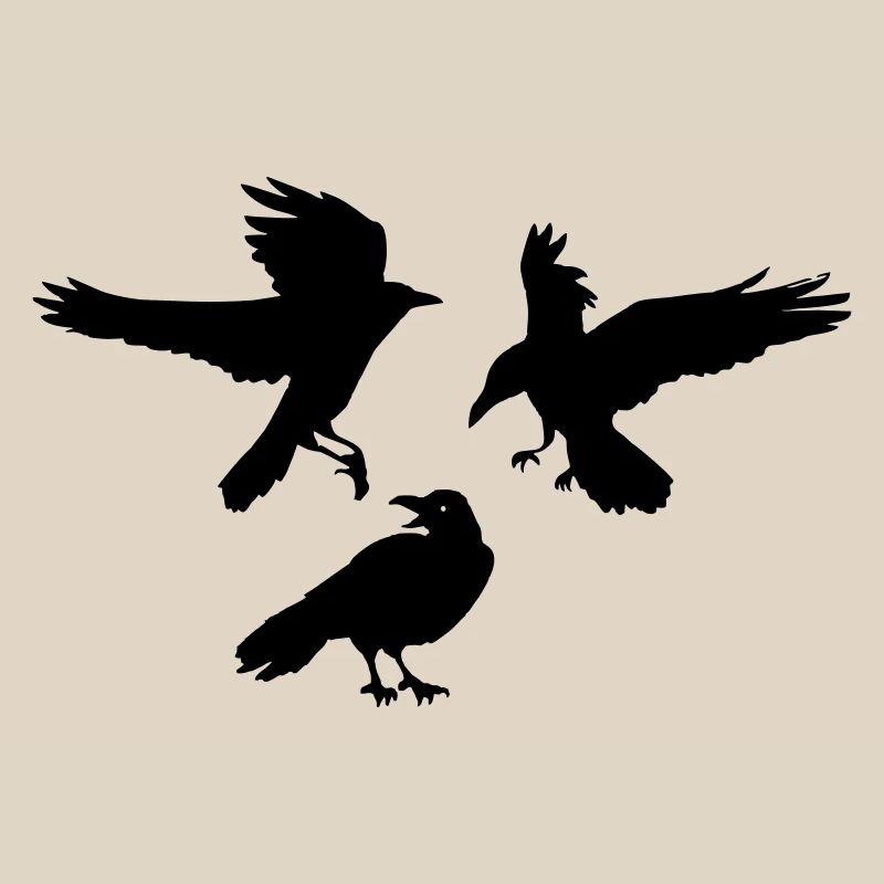 Three raven crows