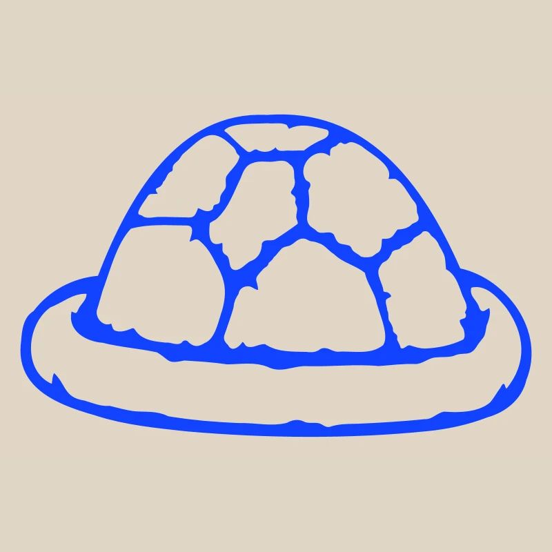Turtle shell without turtle cute shell